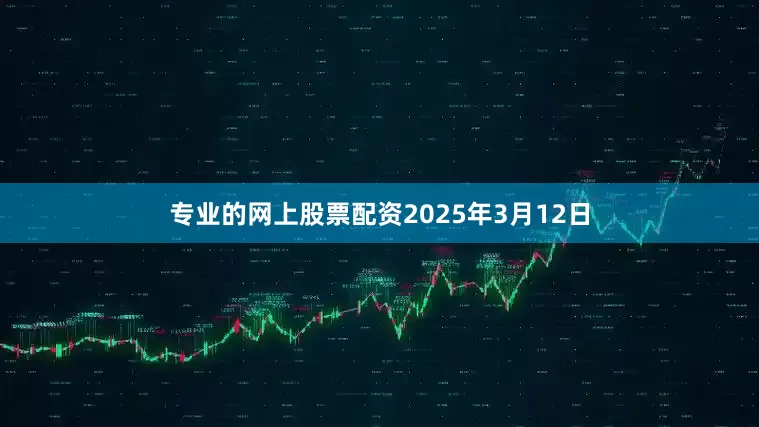 专业的网上股票配资2025年3月12日
