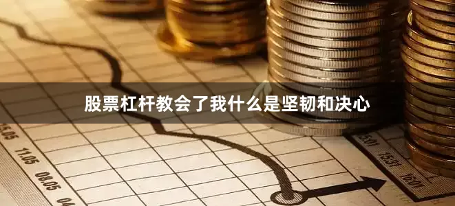 股票杠杆教会了我什么是坚韧和决心