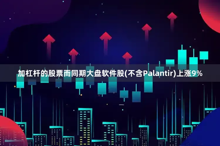 加杠杆的股票而同期大盘软件股(不含Palantir)上涨9%