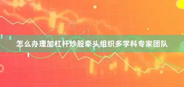 怎么办理加杠杆炒股牵头组织多学科专家团队
