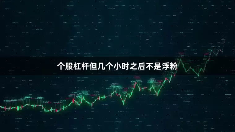 个股杠杆但几个小时之后不是浮粉